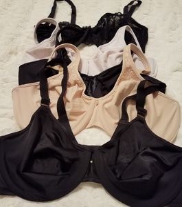 36DD FIVE Bras